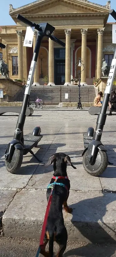 B&B Soleluna Della Solidarieta Palermo 0*,