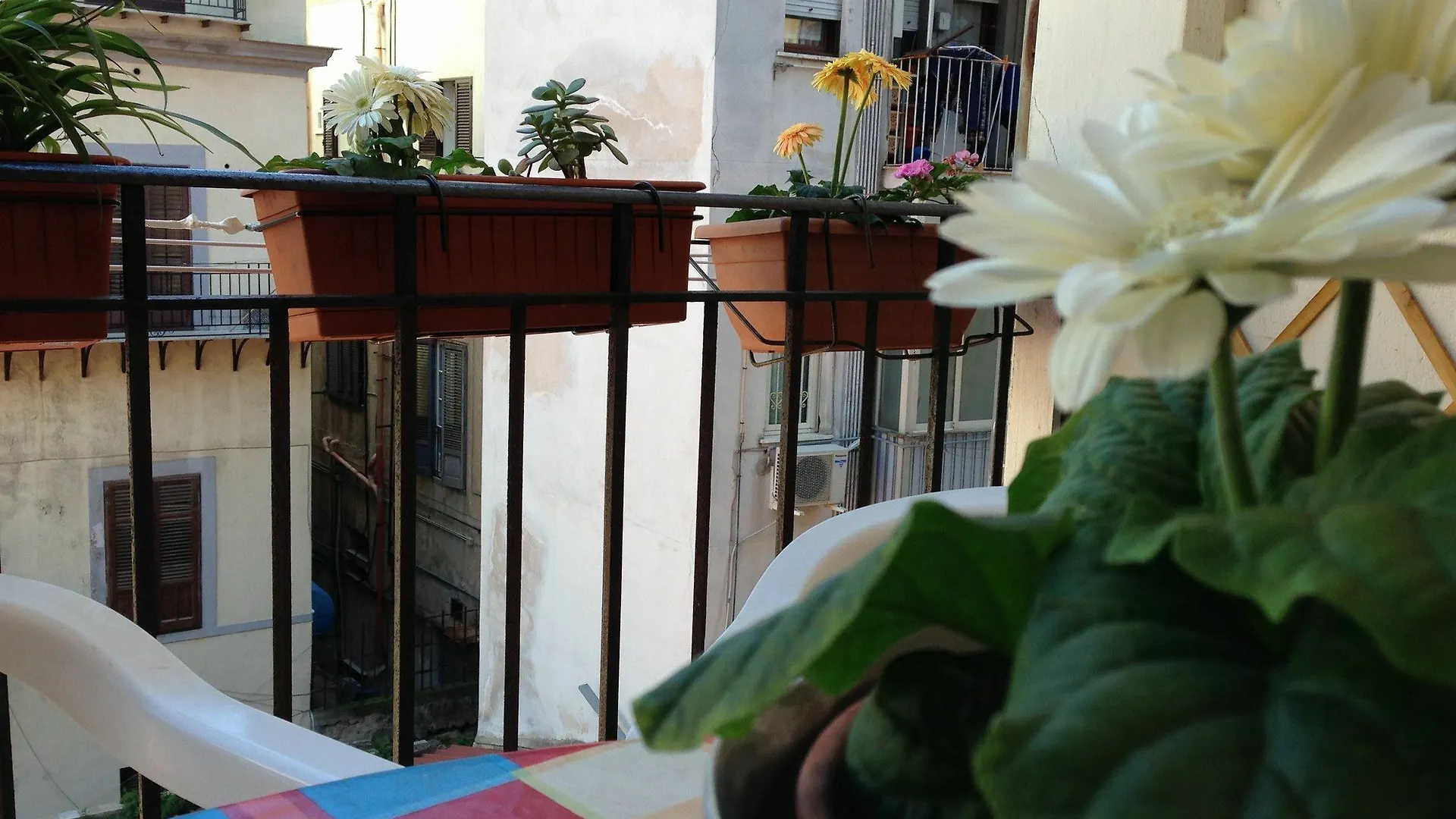 B&B Soleluna Della Solidarieta Palermo 0*,