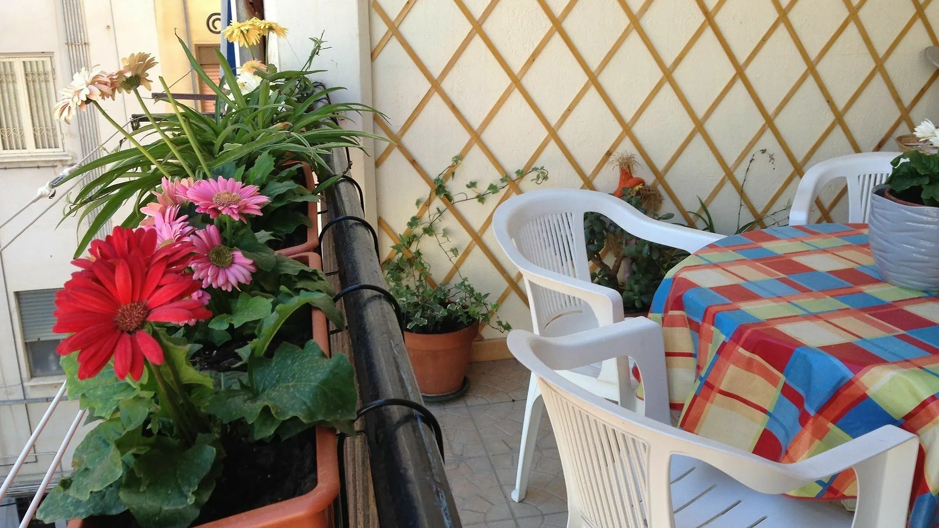 B&B Soleluna Della Solidarieta Palermo Bed and breakfast